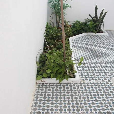 Casa Ibaia - Algarve Holiday home *